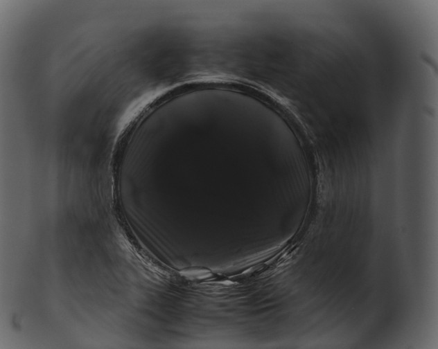 X0000100491319200807031907