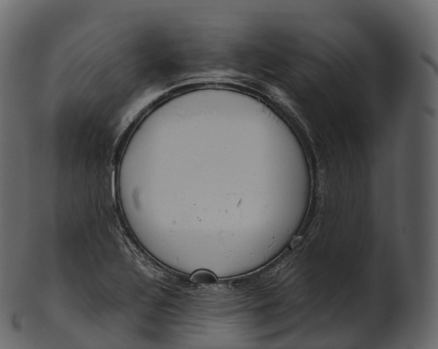 X0000100491320200807031907