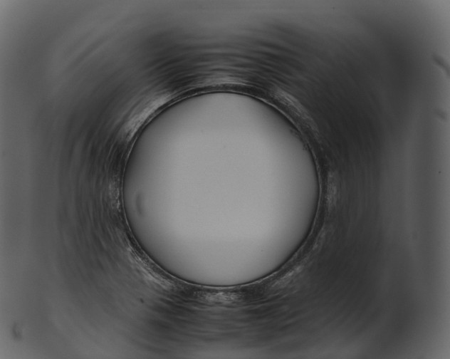 X0000100491321200807031907