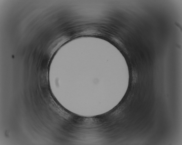 X0000100491322200807031907