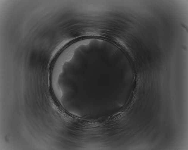 X0000100491323200807031907