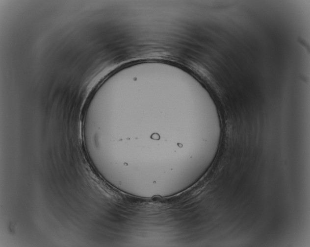 X0000100491324200807031907