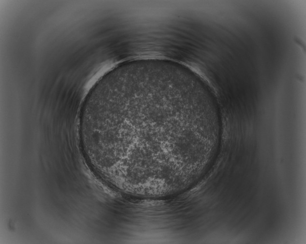 X0000100491325200807031907