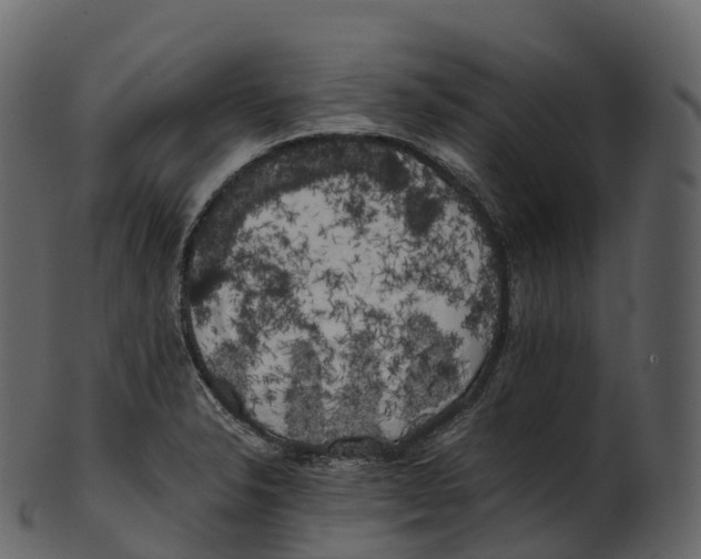 X0000100491326200807031907