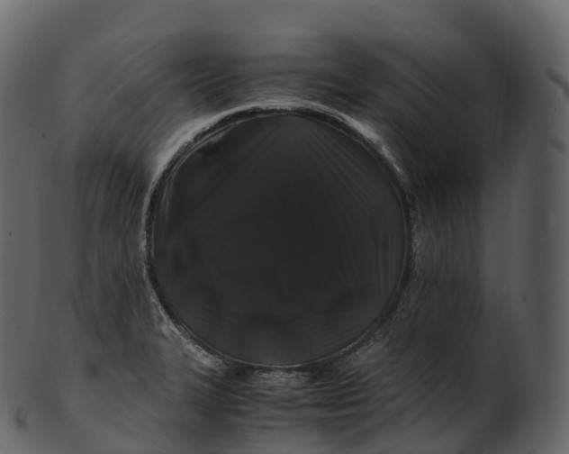 X0000100491327200807031907