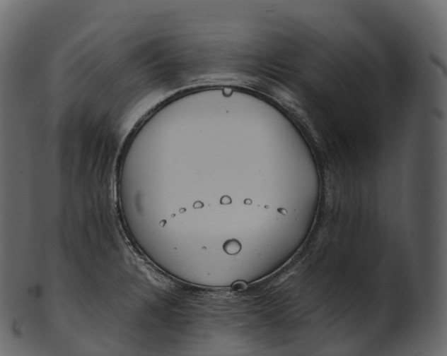 X0000100491328200807031907