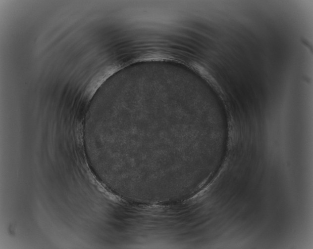 X0000100491329200807031907