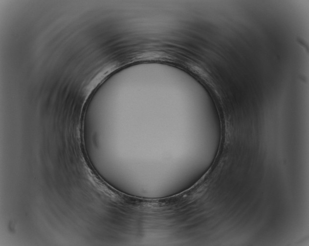 X0000100491330200807031907