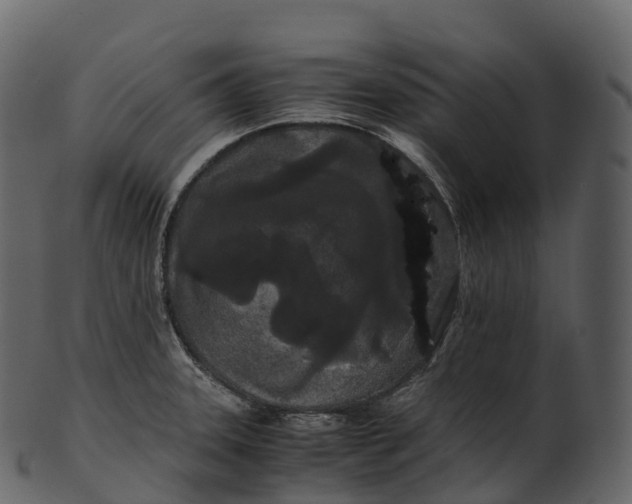 X0000100491331200807031907