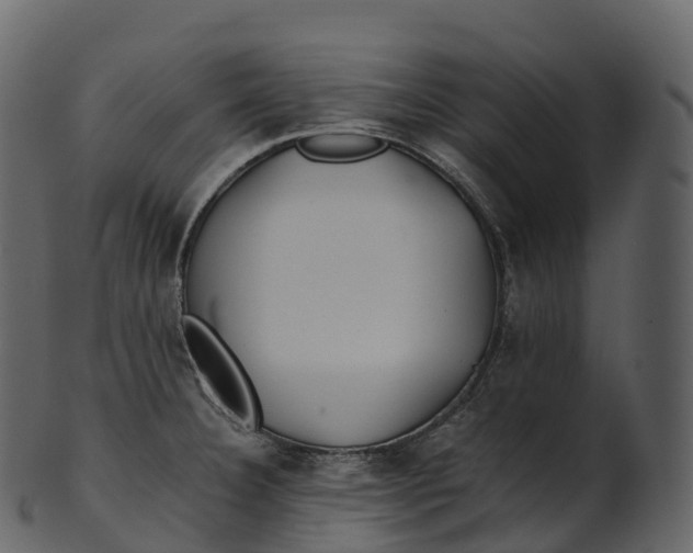 X0000100491332200807031907