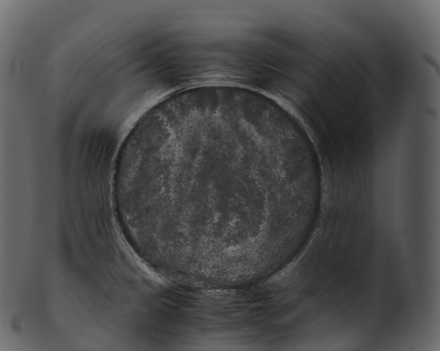 X0000100491333200807031907