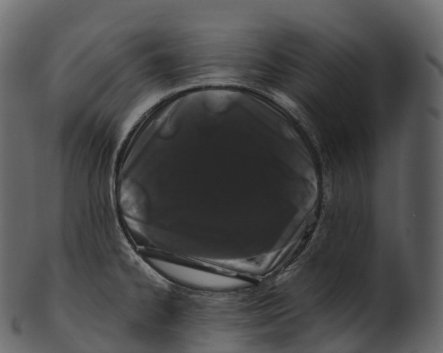 X0000100491334200807031907