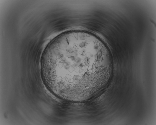 X0000100491335200807031907