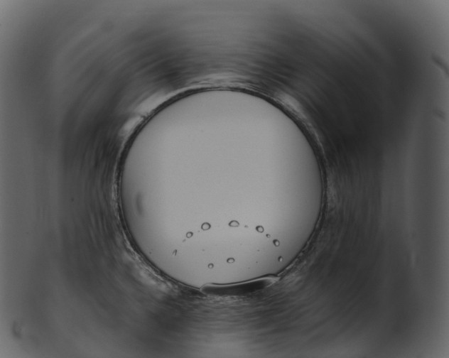 X0000100491336200807031907