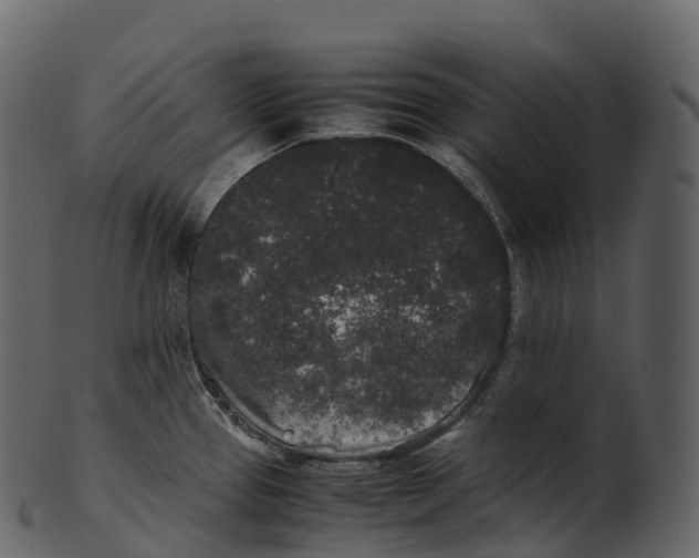 X0000100491337200807031907