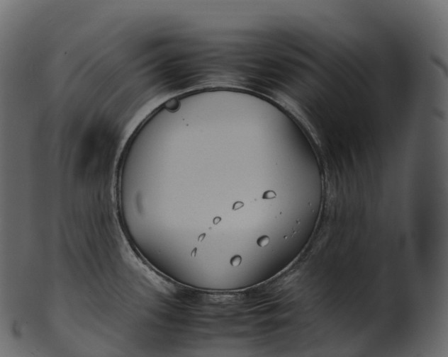 X0000100491339200807031907