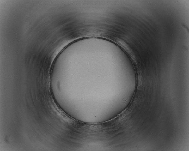 X0000100491340200807031907