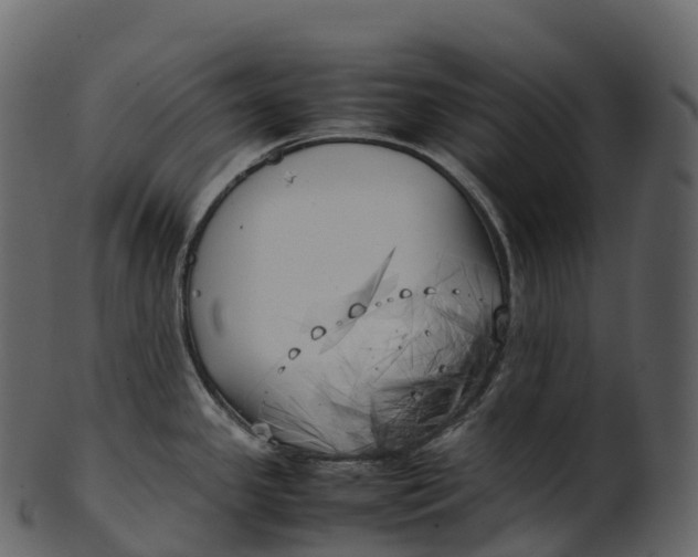 X0000100491341200807031907