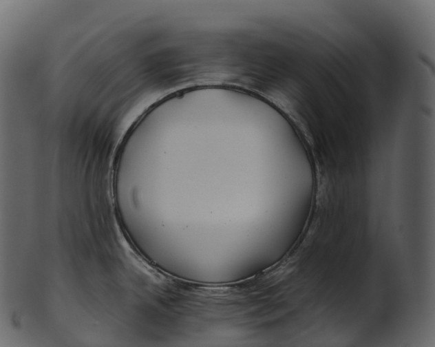 X0000100491342200807031907