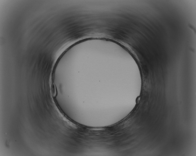 X0000100491343200807031907