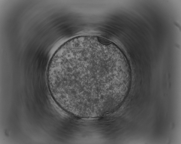 X0000100491344200807031907