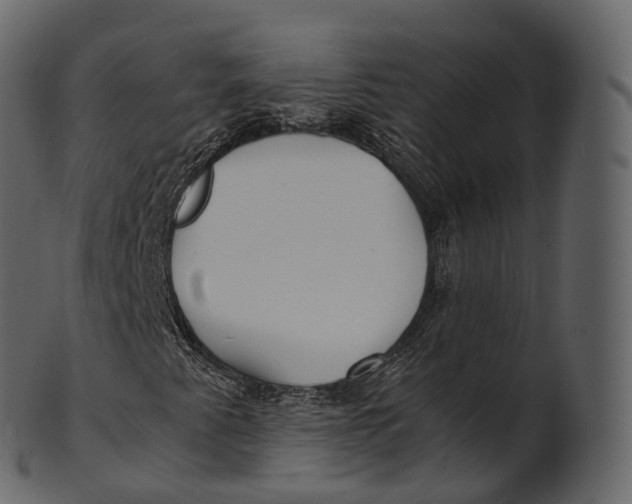 X0000100491345200807031906