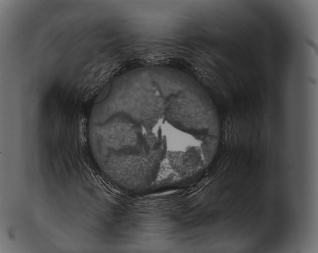 X0000100491346200807031906