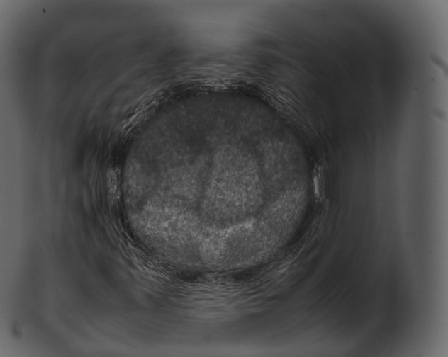 X0000100491347200807031906