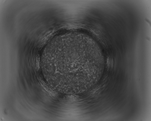 X0000100491348200807031906