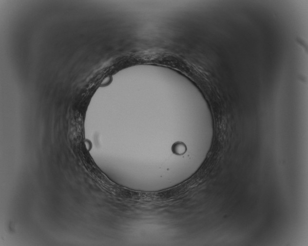 X0000100491349200807031906