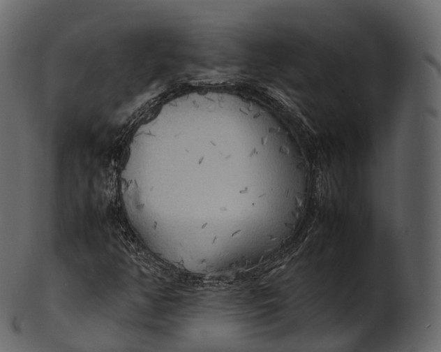 X0000100491350200807031906