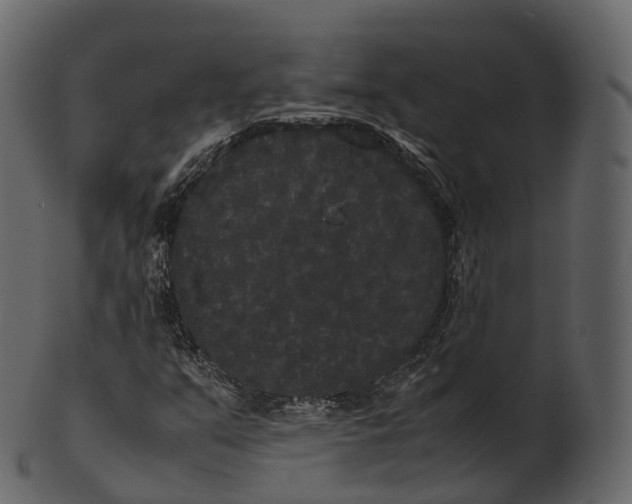 X0000100491351200807031906