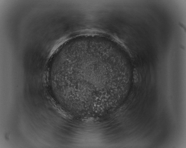 X0000100491352200807031906