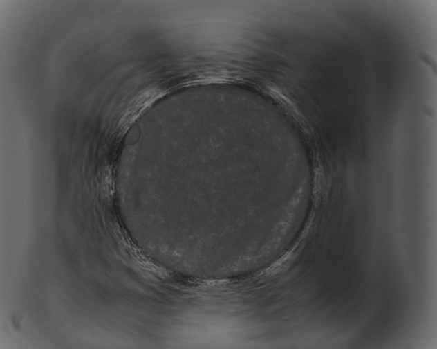 X0000100491353200807031906