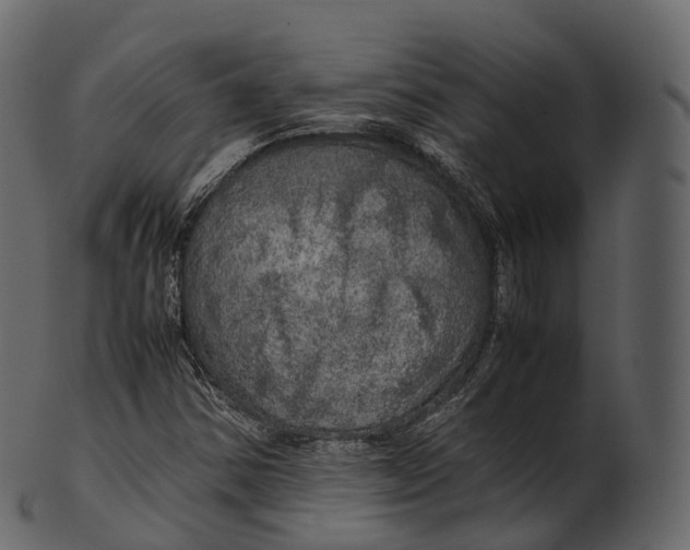 X0000100491354200807031906