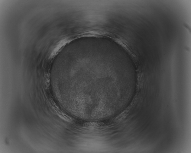 X0000100491355200807031906