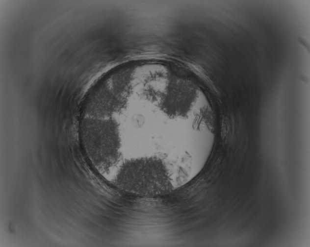 X0000100491356200807031906