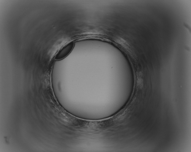 X0000100491357200807031906