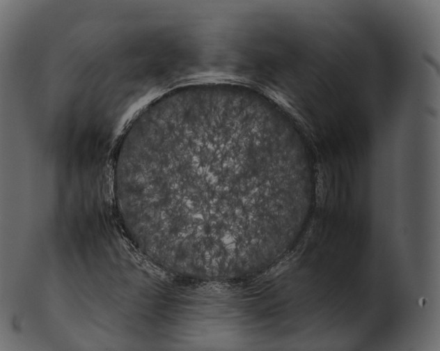 X0000100491358200807031906