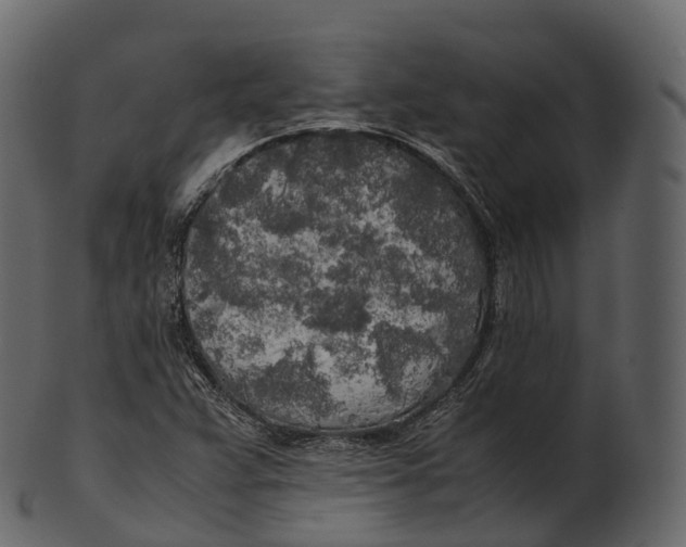 X0000100491359200807031906