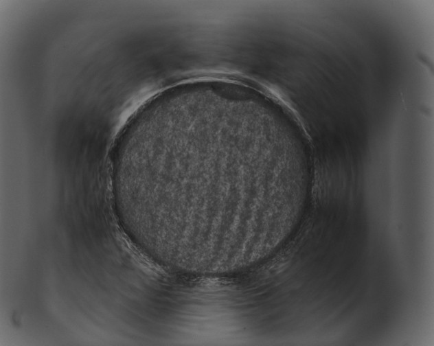 X0000100491360200807031906