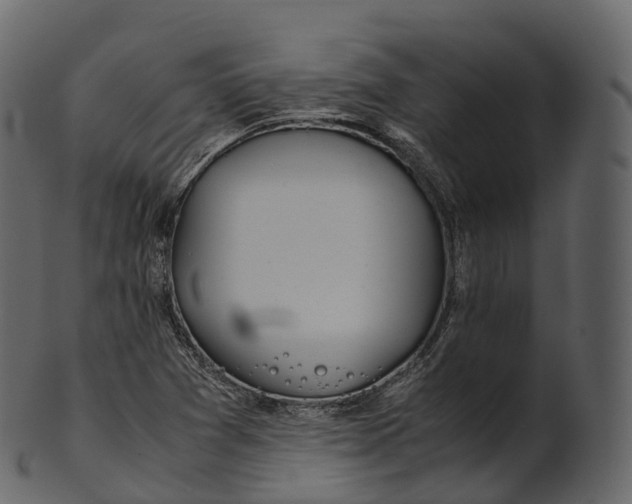 X0000100491361200807031906