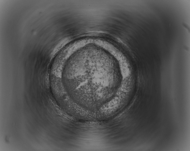 X0000100491362200807031906