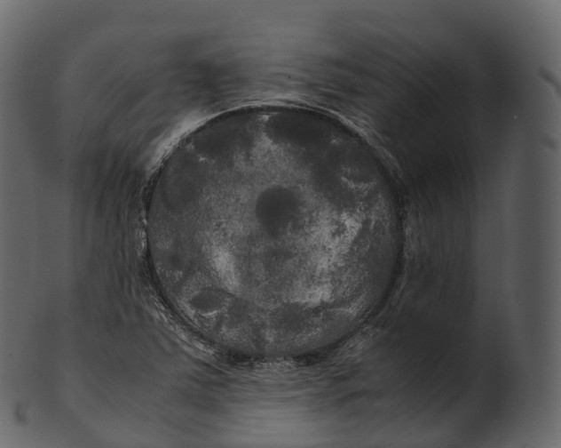 X0000100491363200807031906