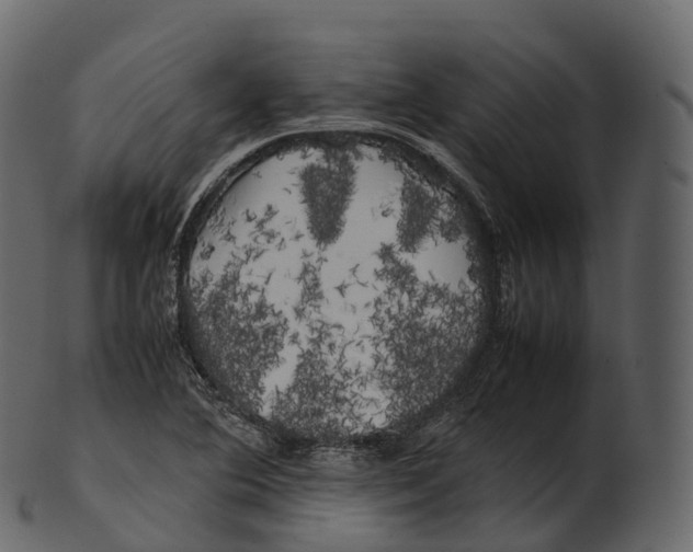 X0000100491364200807031906