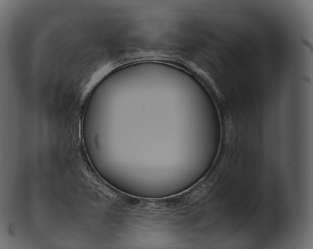 X0000100491365200807031906