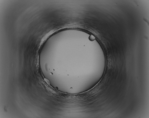 X0000100491366200807031906