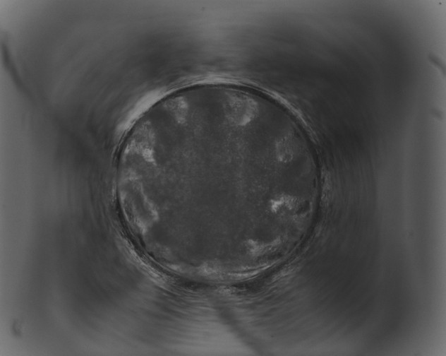 X0000100491367200807031906