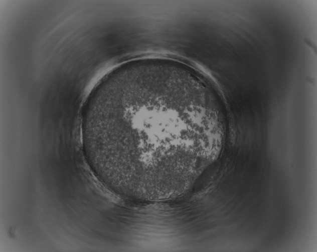 X0000100491368200807031906