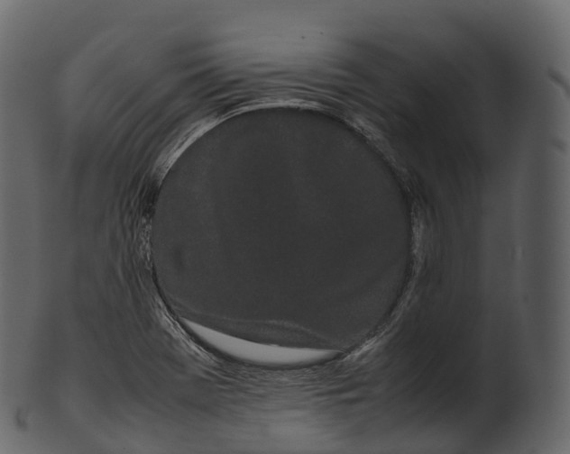 X0000100491369200807031906